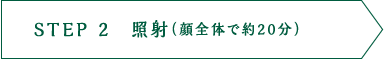 STEP 2 照射(顔全体で約20分)